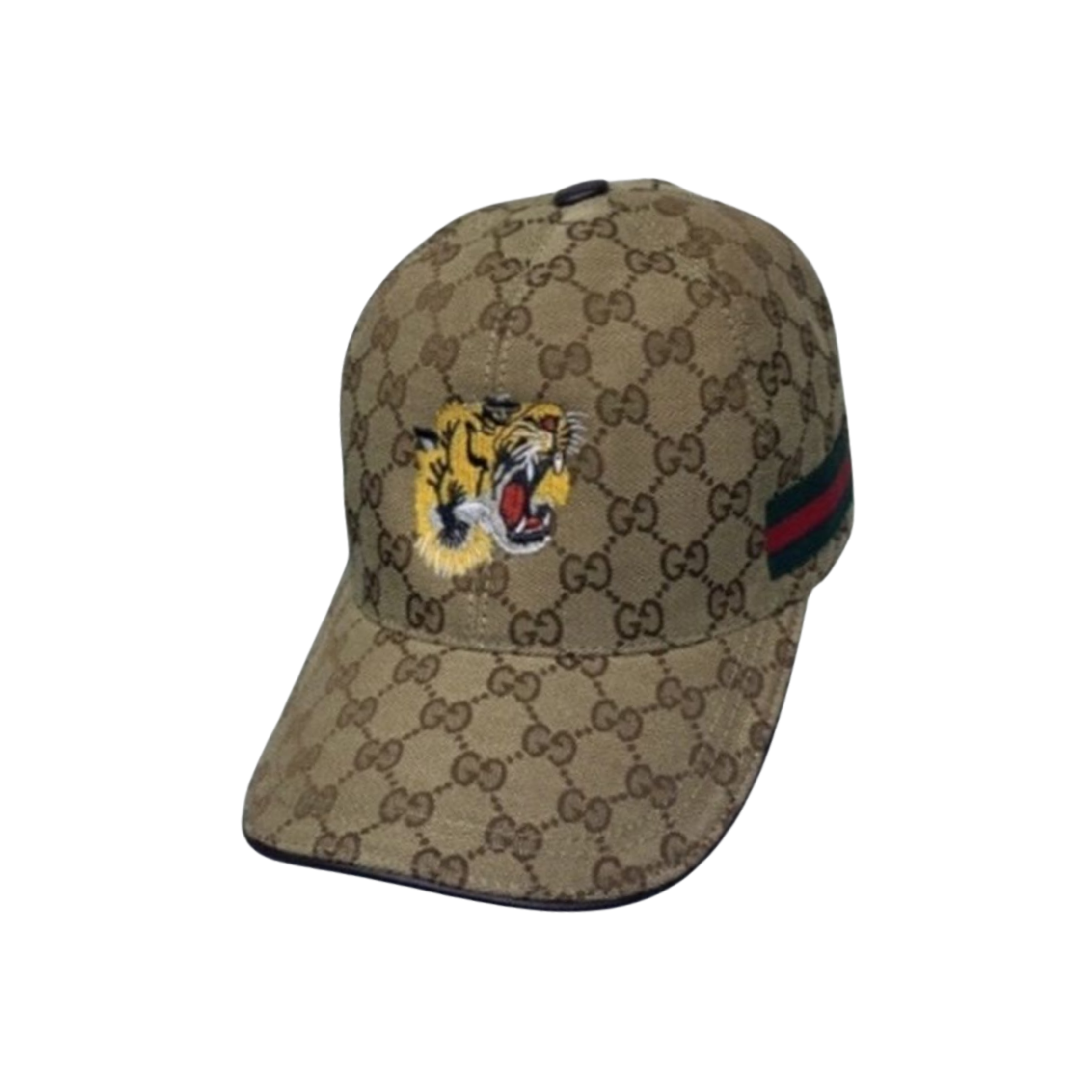 WearVista ®️ Hat