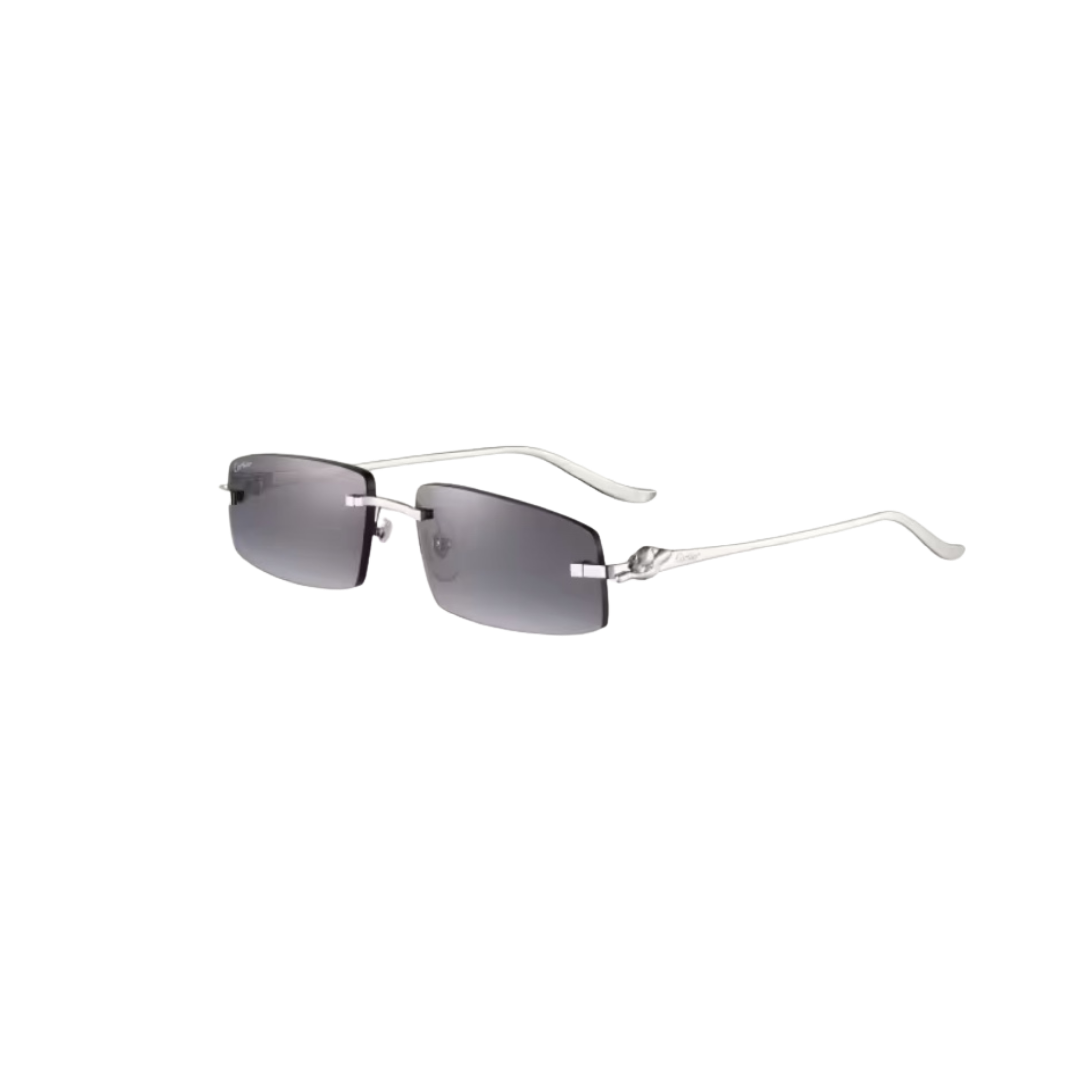 WearVista®️ Glasses