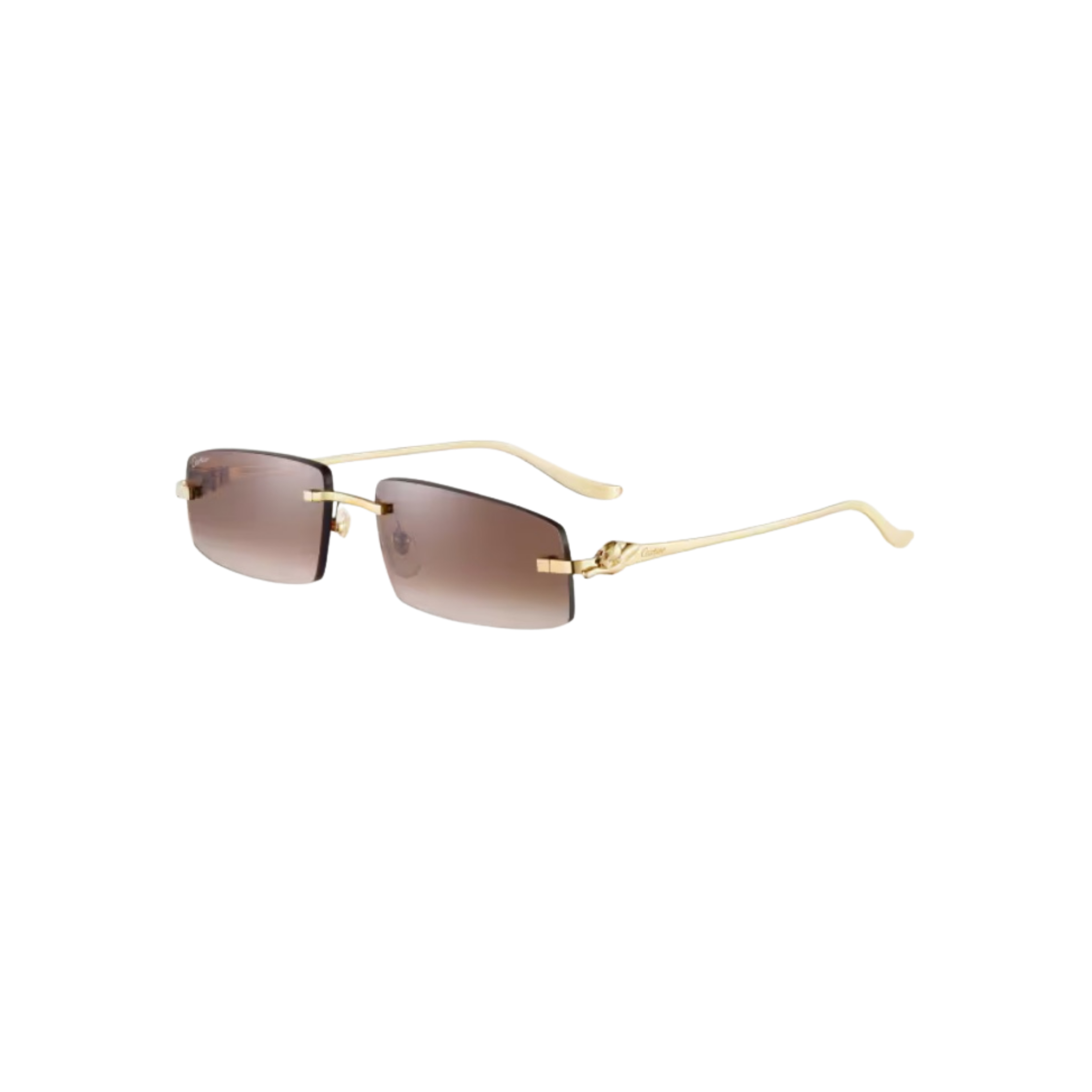 WearVista®️ Glasses
