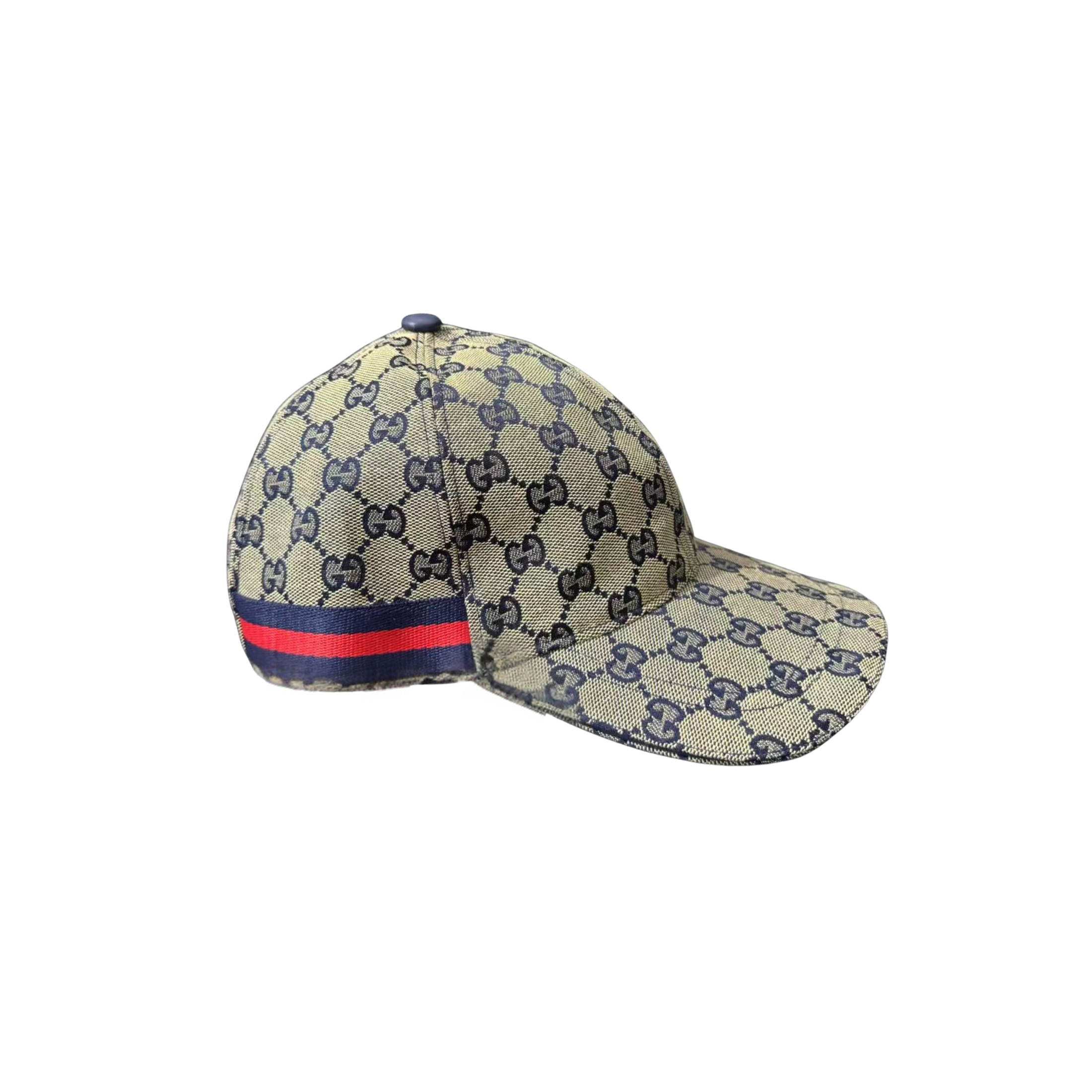 WearVista ®️ Hat