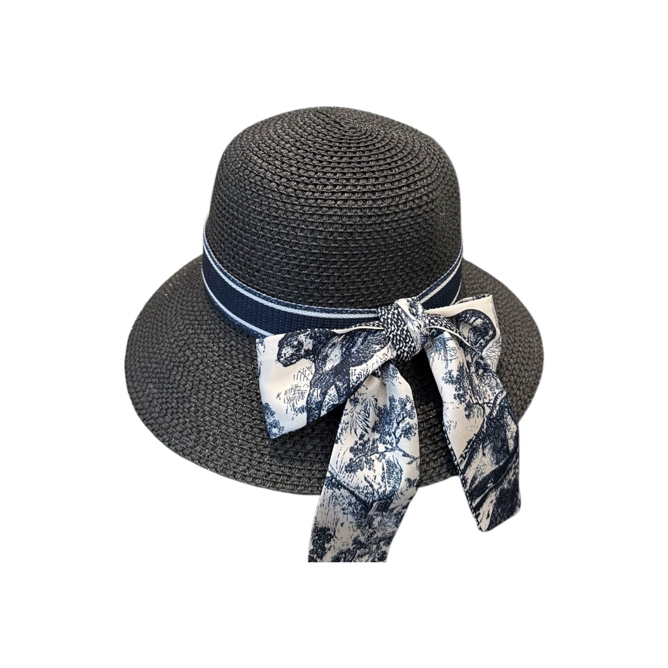 WearVista ®️ Hat