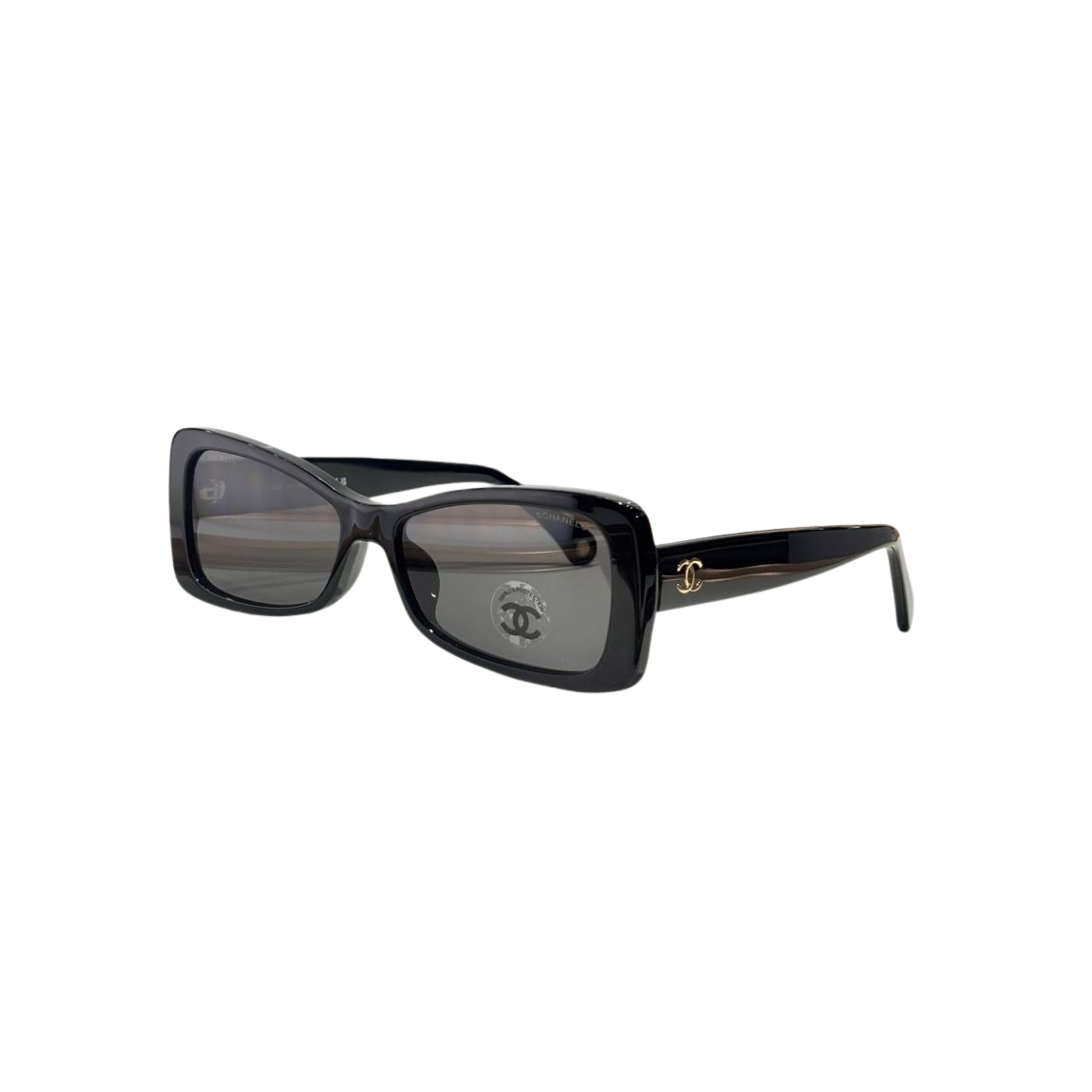 WearVista® Glasses