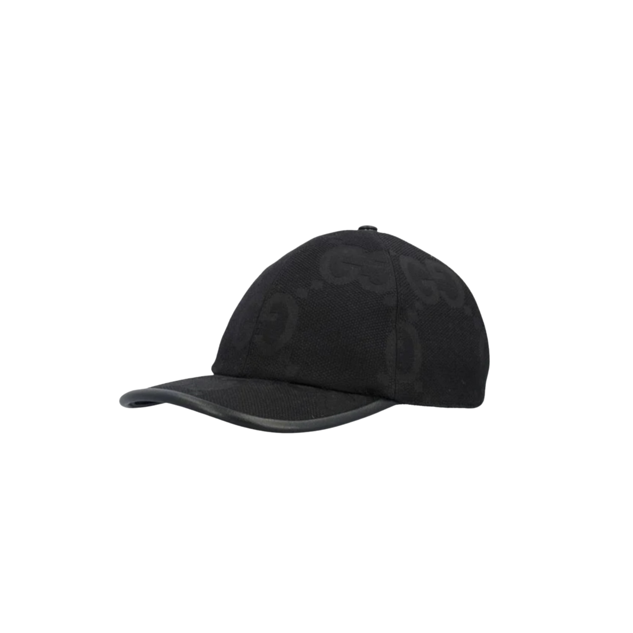 WearVista ®️ Hat