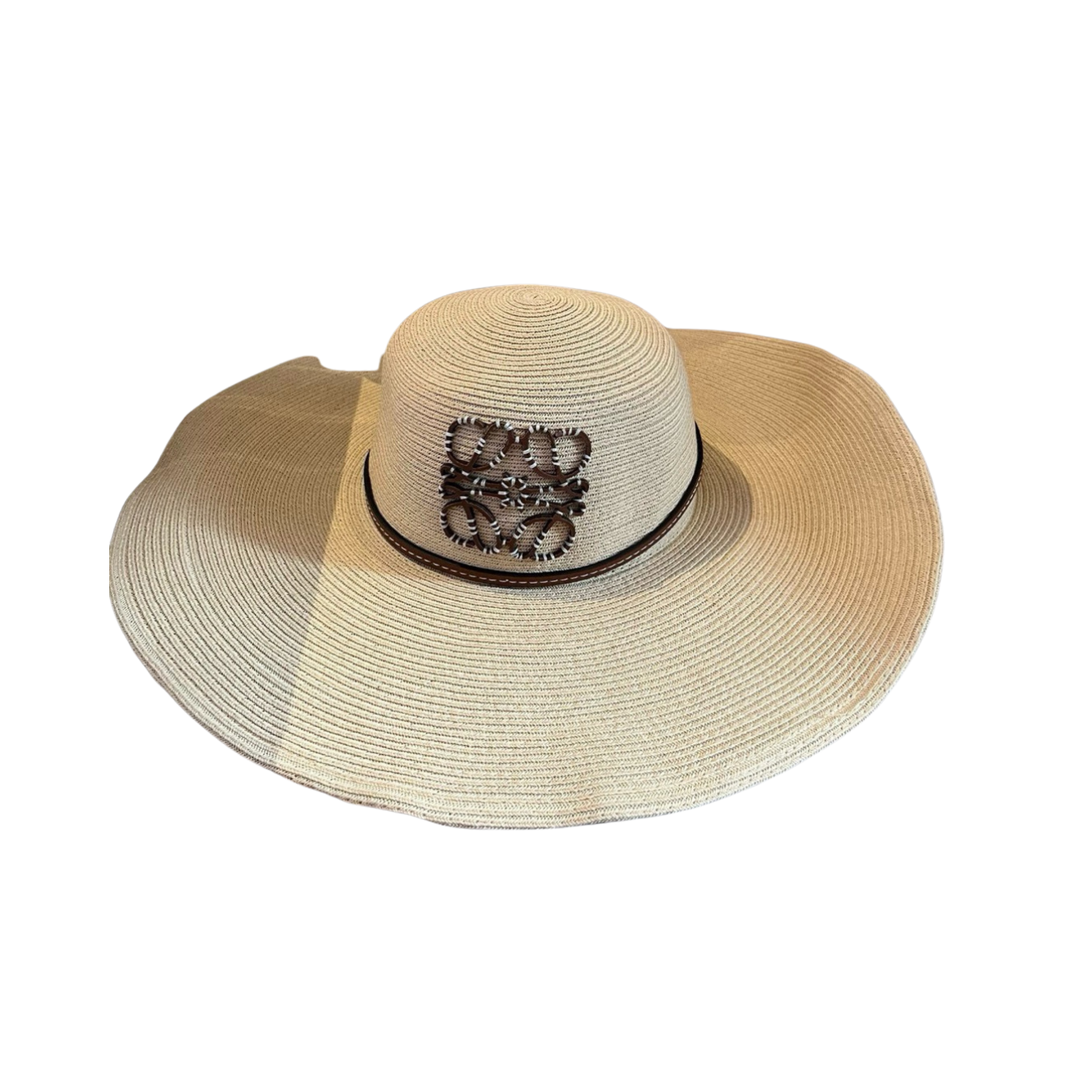 WearVista ®️ Hat