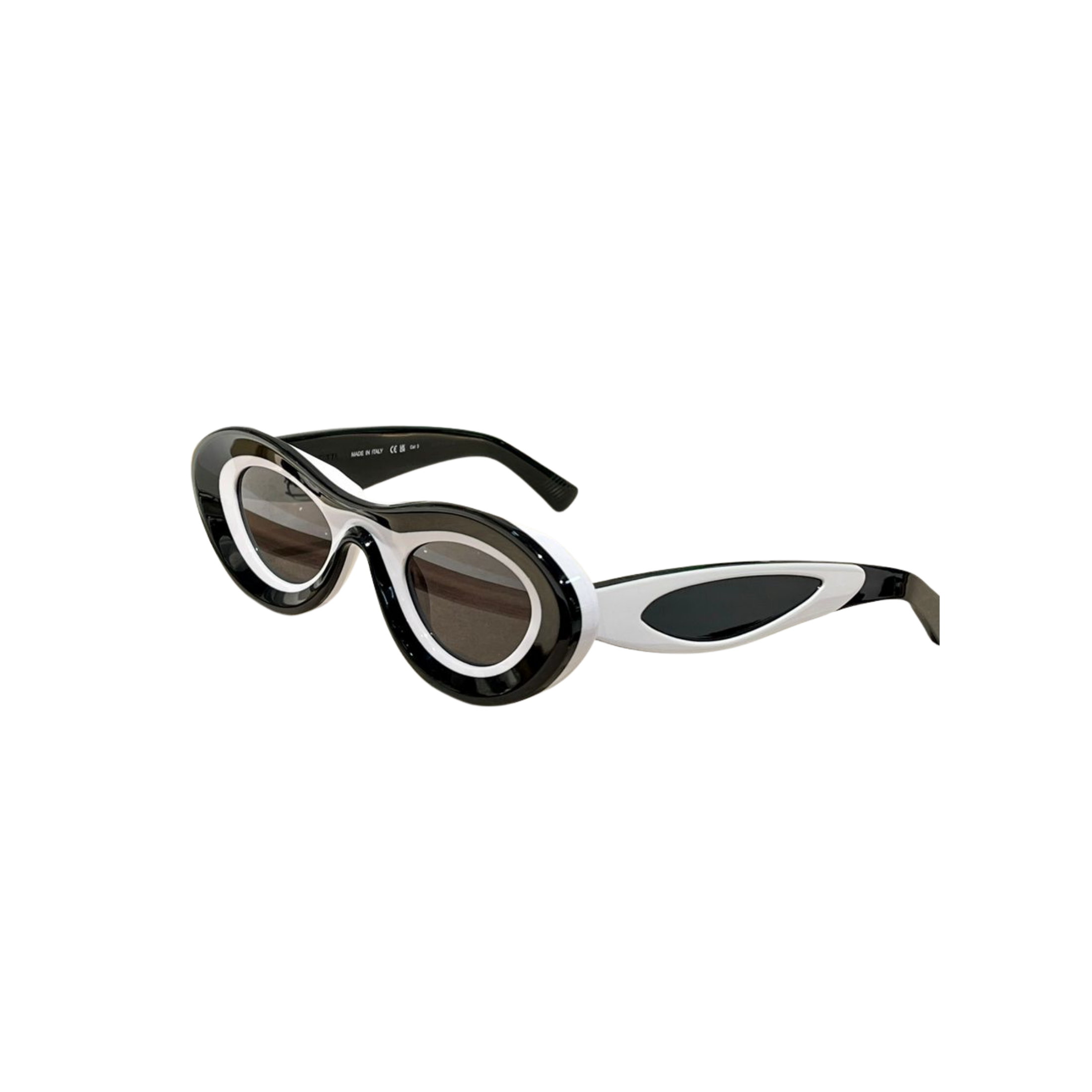 WearVista® Glasses