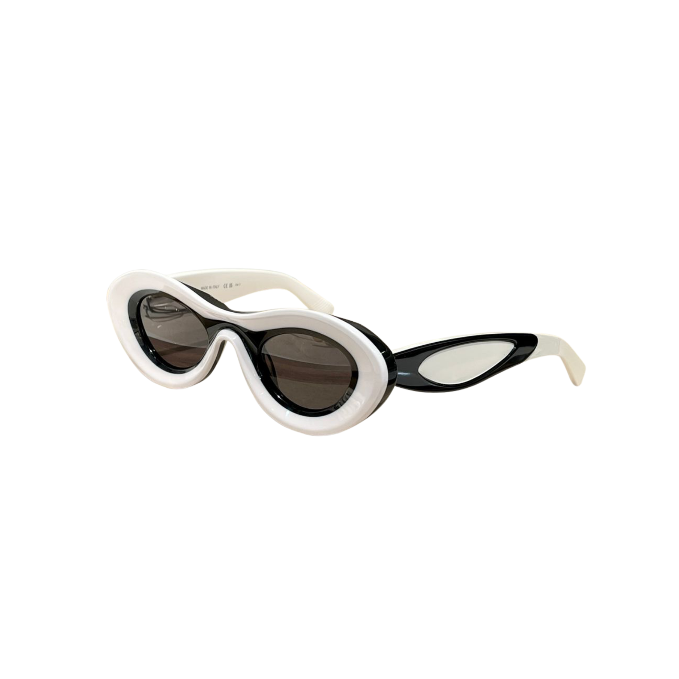 WearVista® Glasses