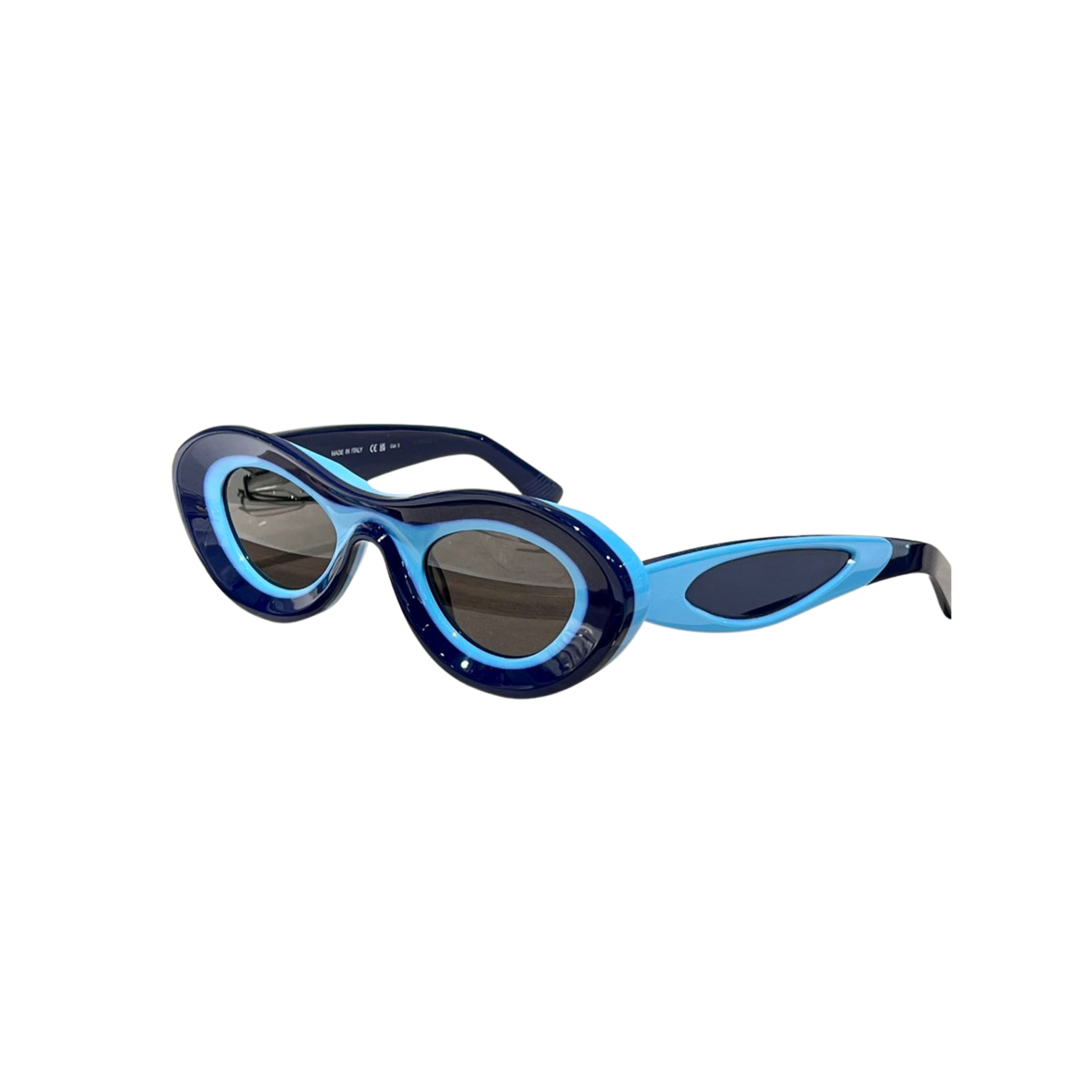 WearVista® Glasses