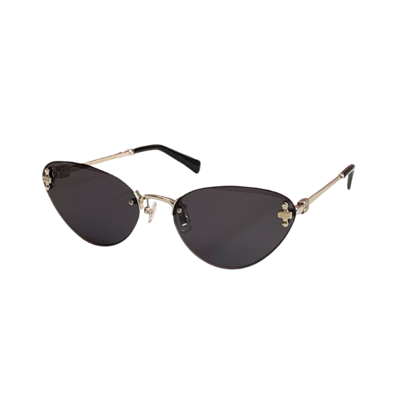 WearVista® Glasses