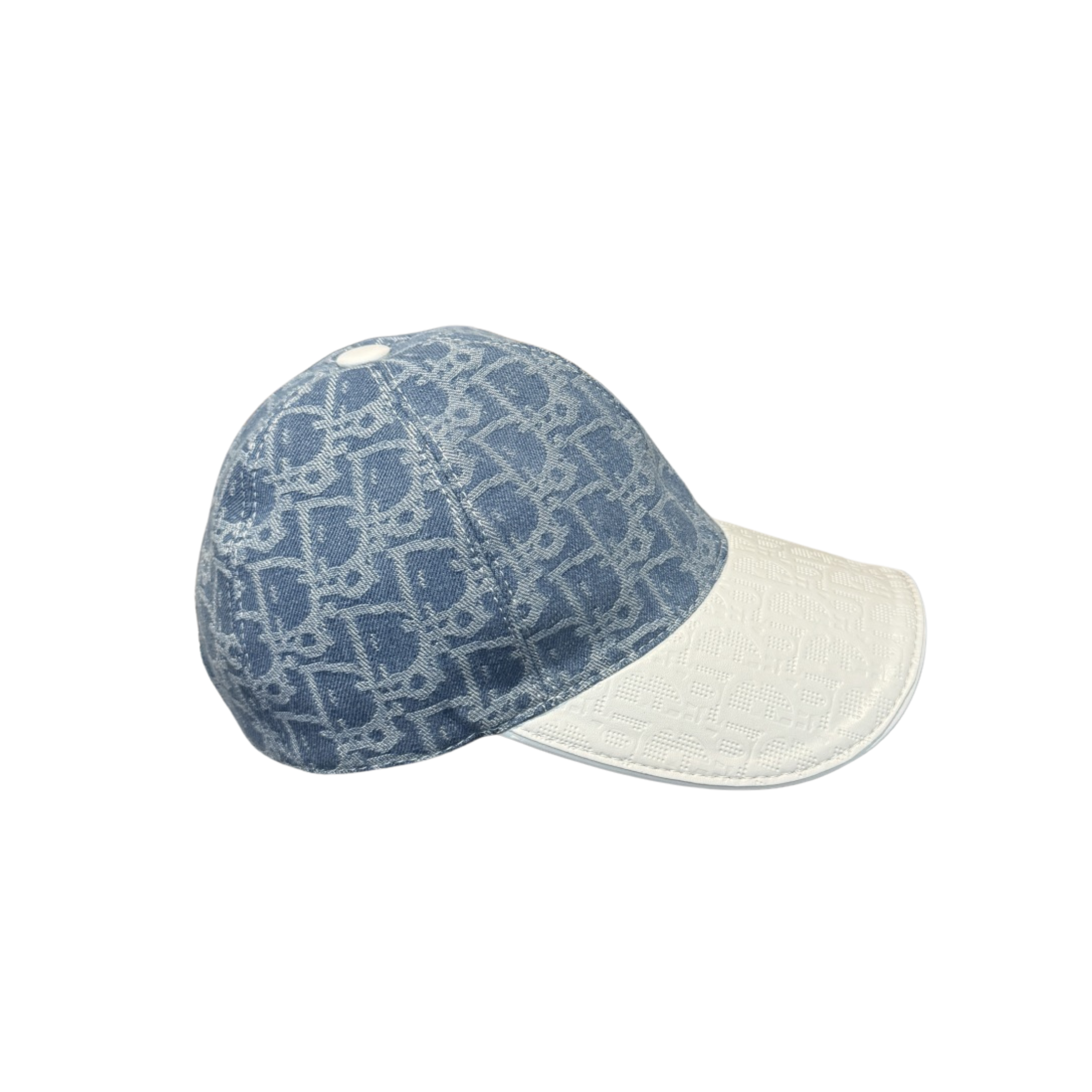 WearVista ®️ Hat
