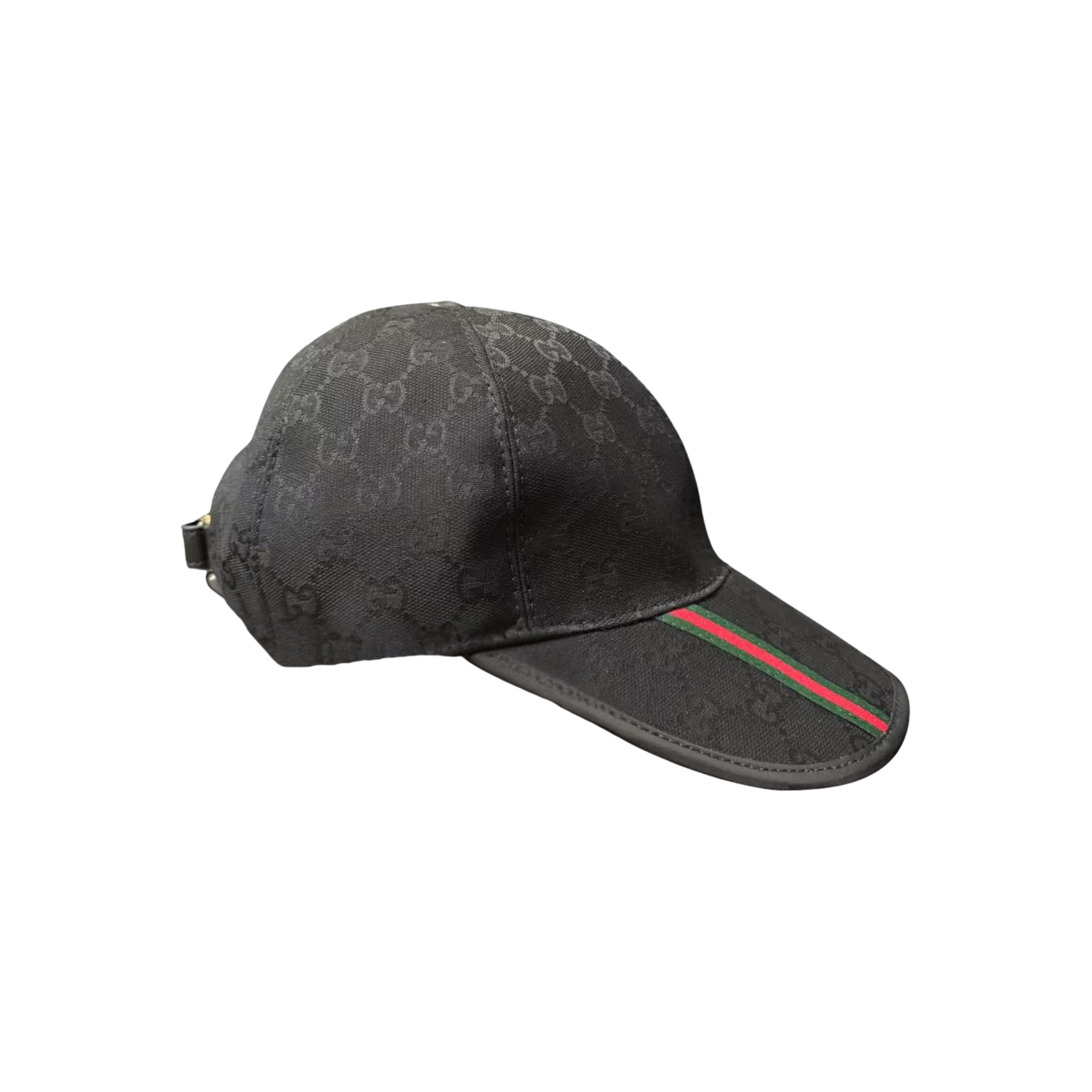 WearVista ®️ Hat