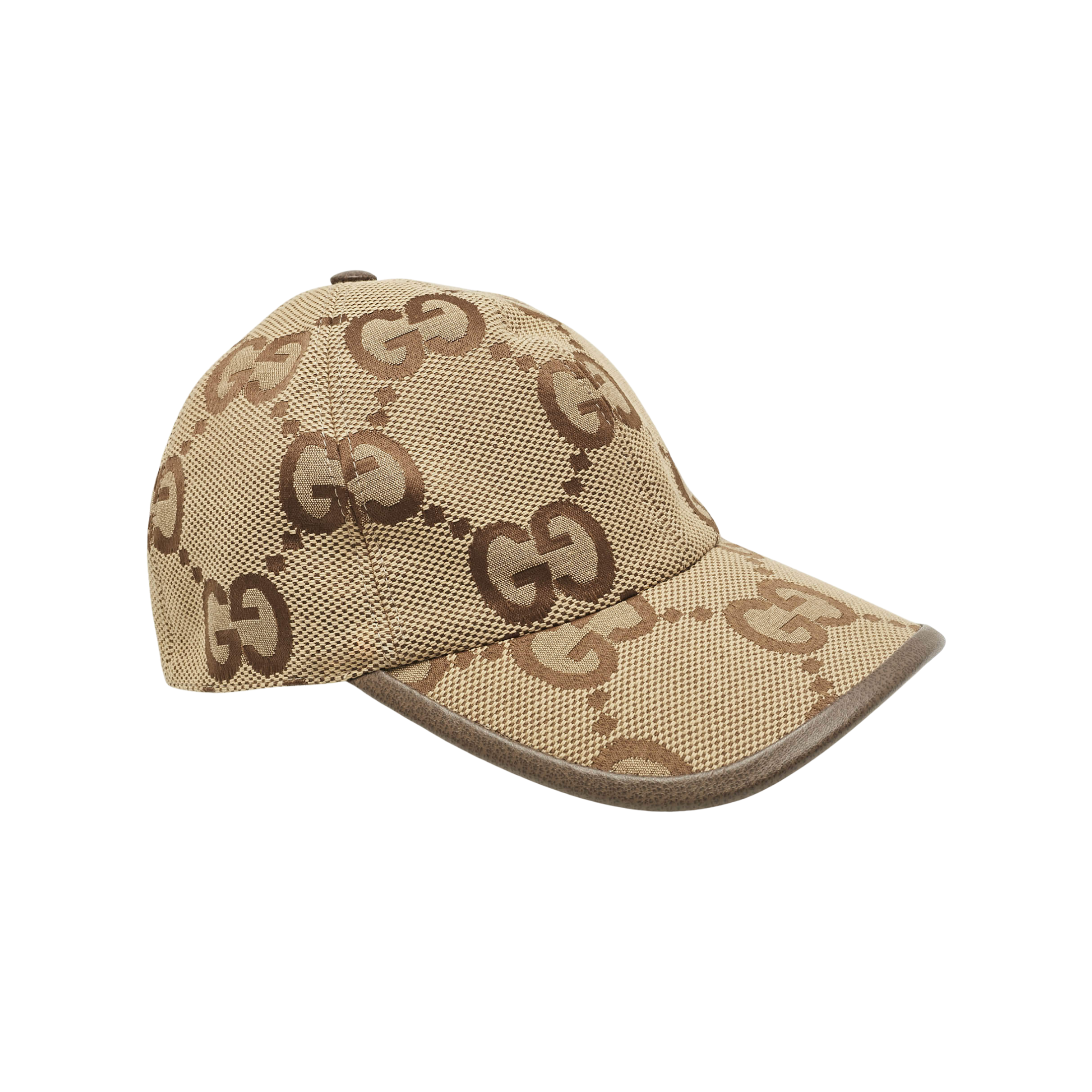 WearVista ®️ Hat