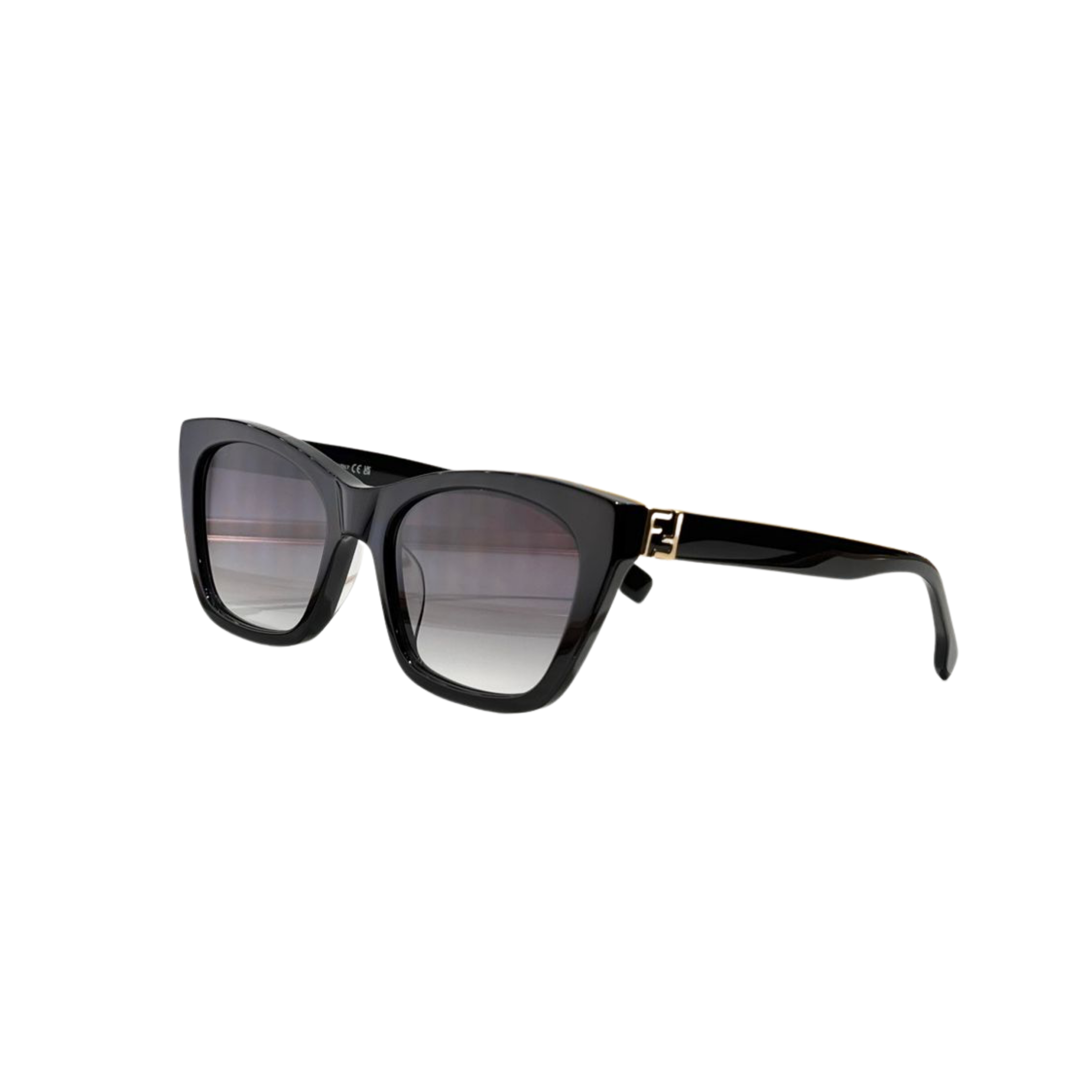 WearVista® Glasses