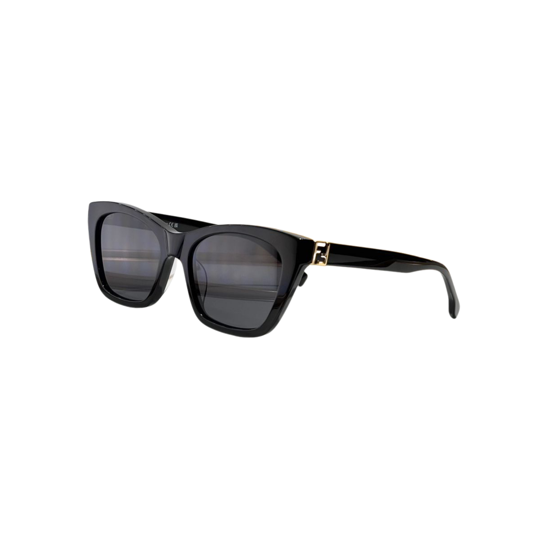 WearVista® Glasses