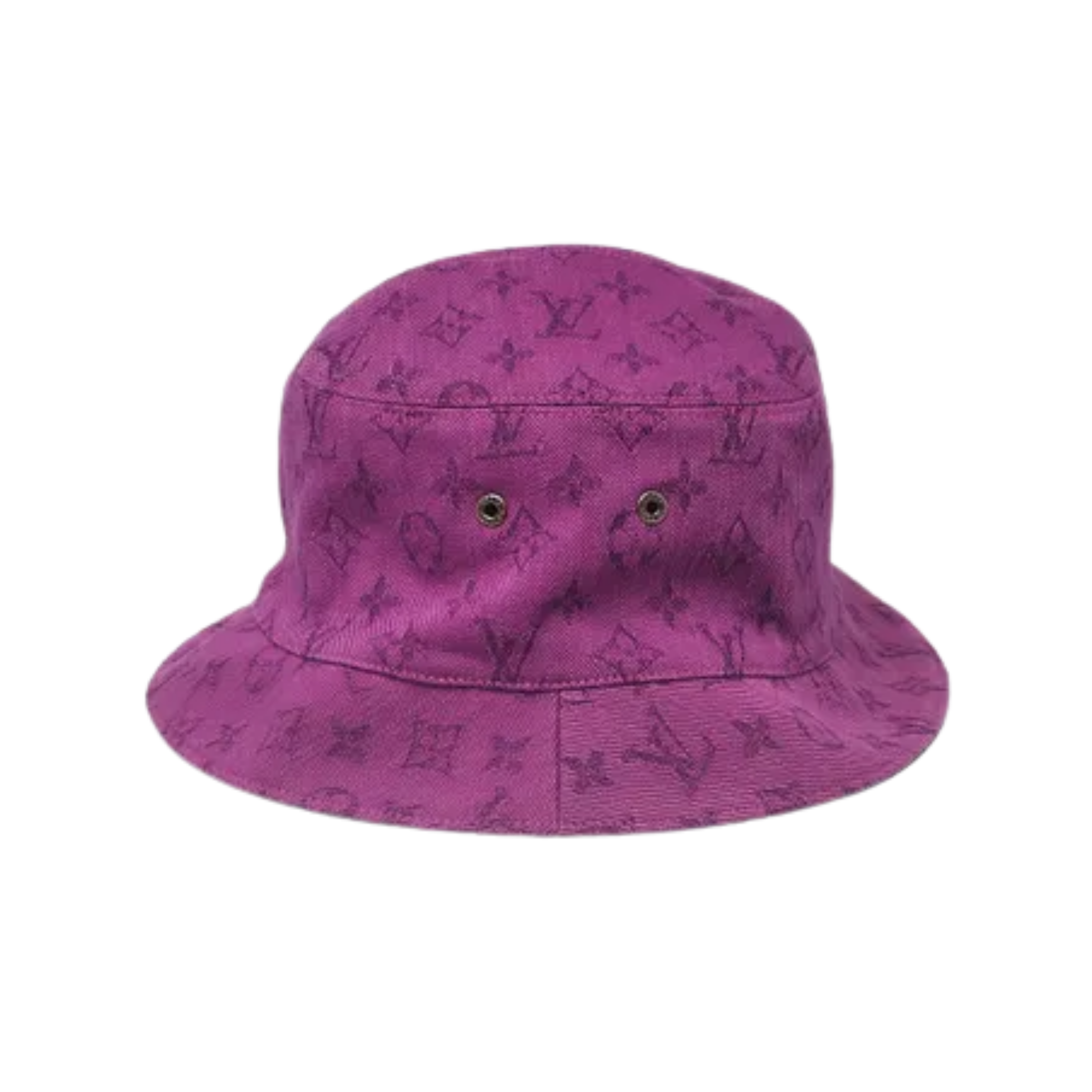 WearVista ®️ Hat