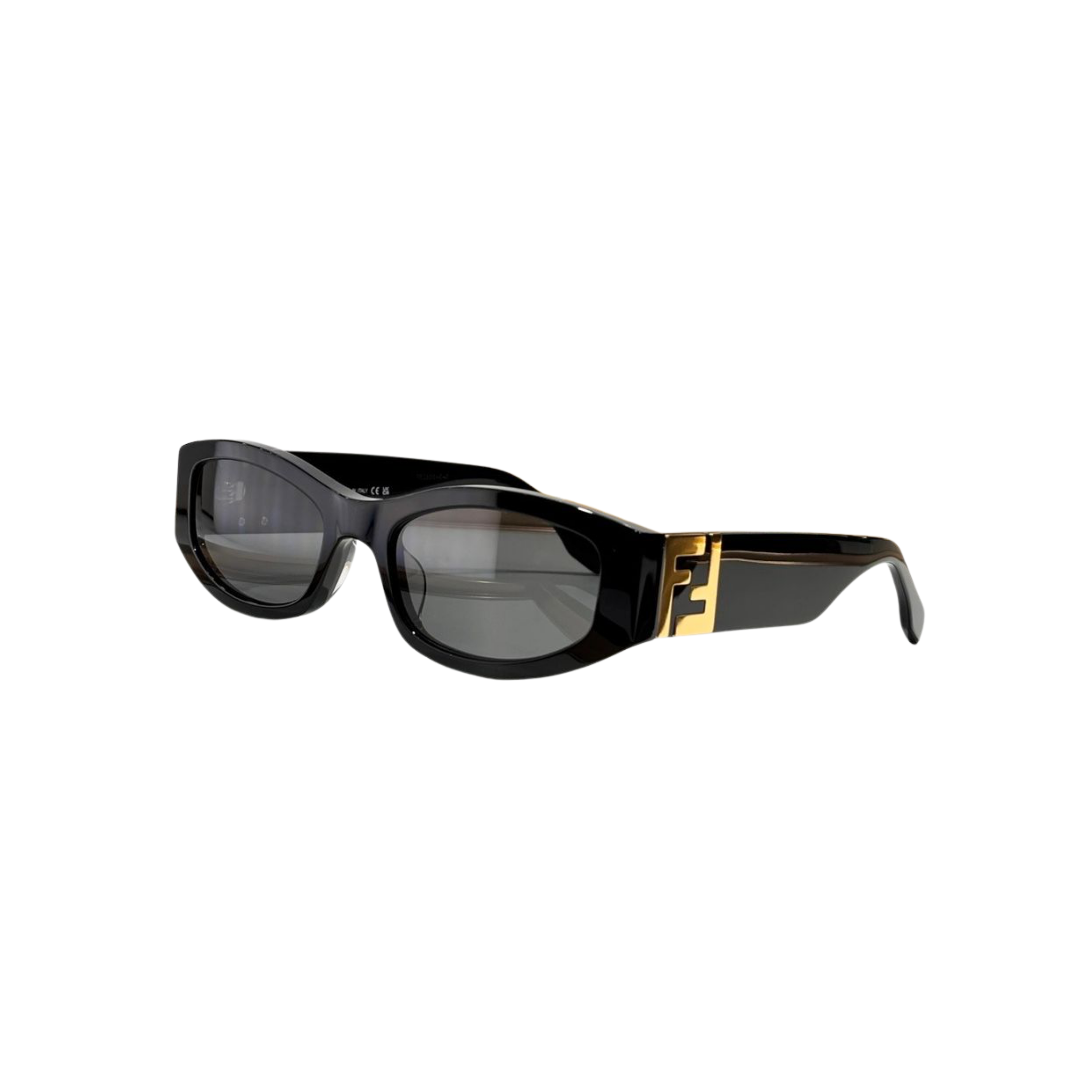 WearVista® Glasses
