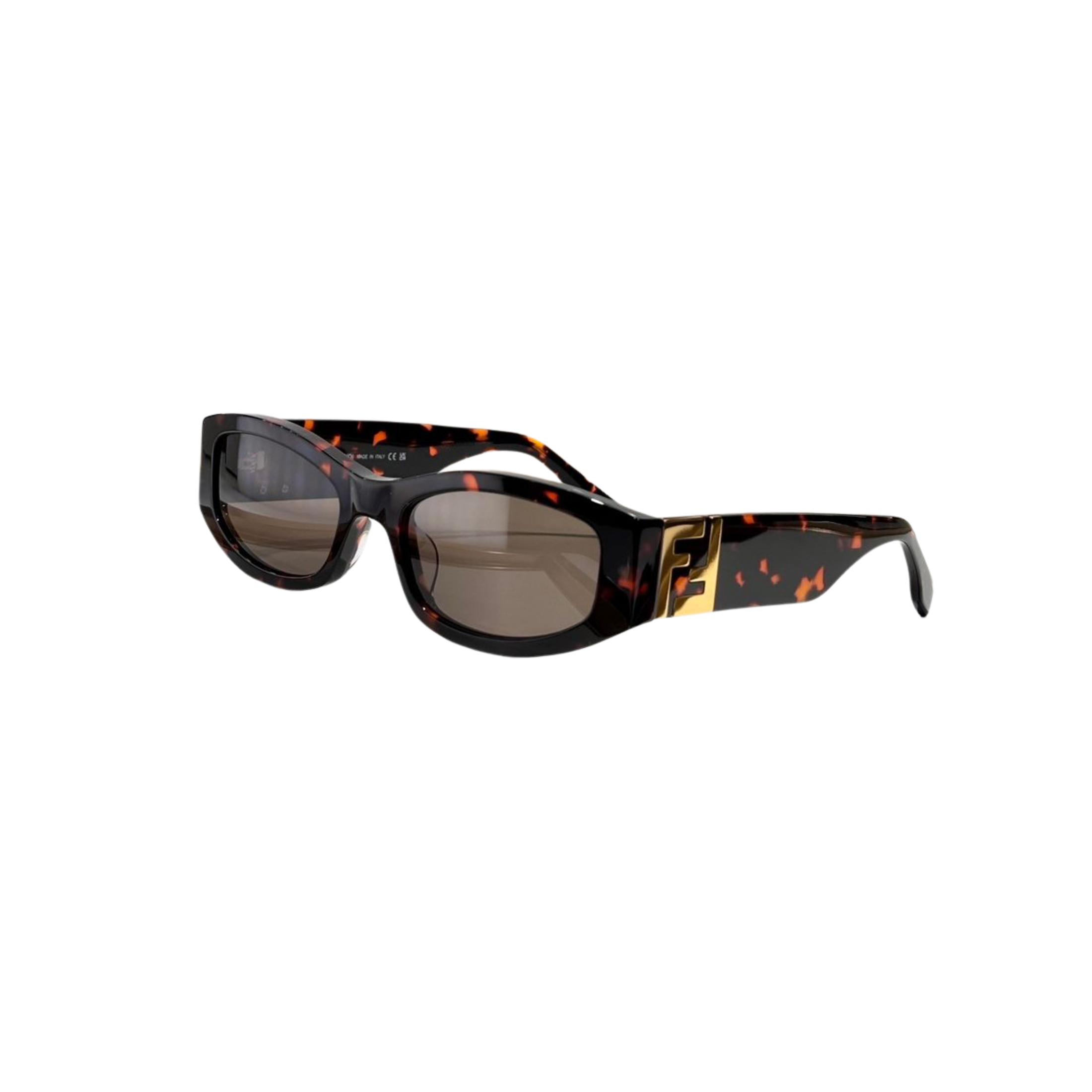 WearVista® Glasses