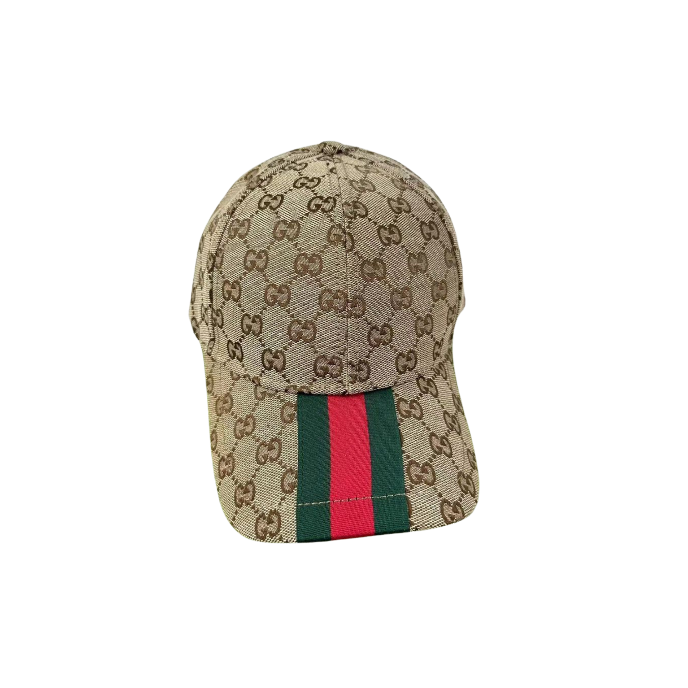 WearVista ®️ Hat