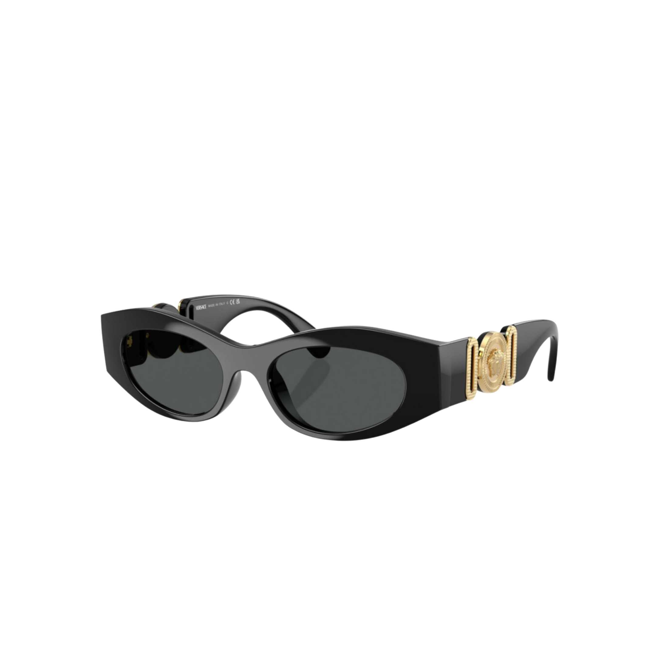 WearVista®️ Glasses
