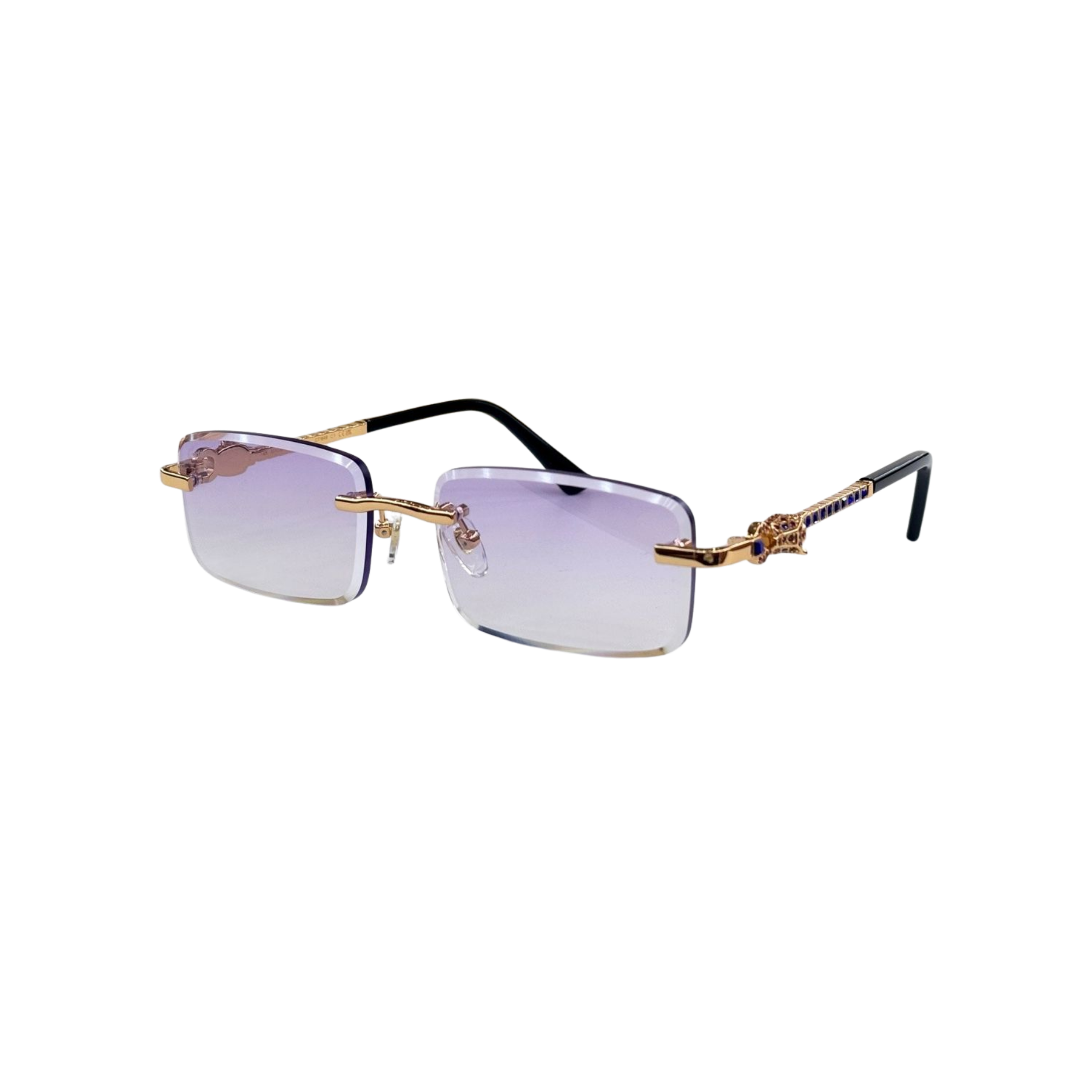 WearVista®️ Glasses