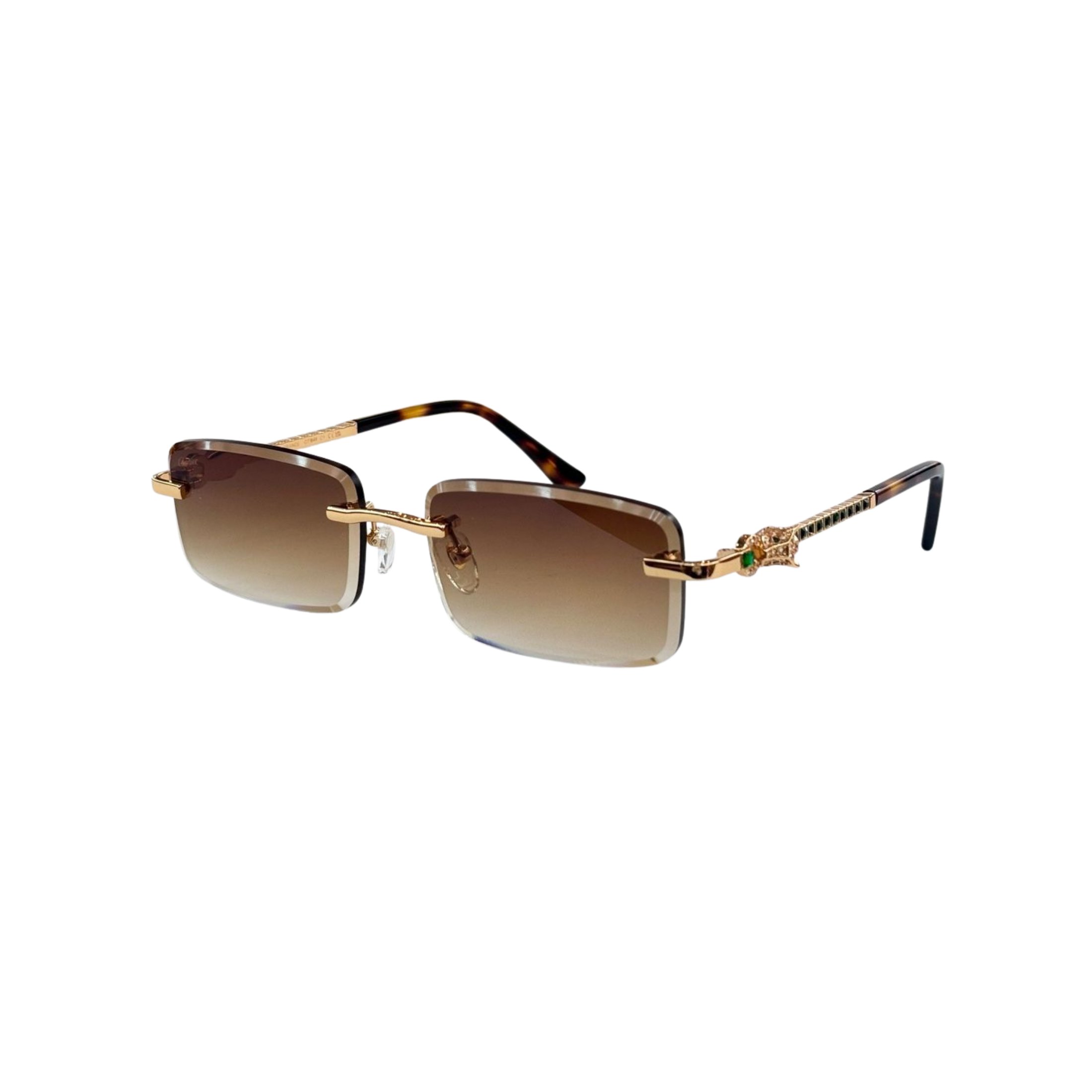 WearVista®️ Glasses