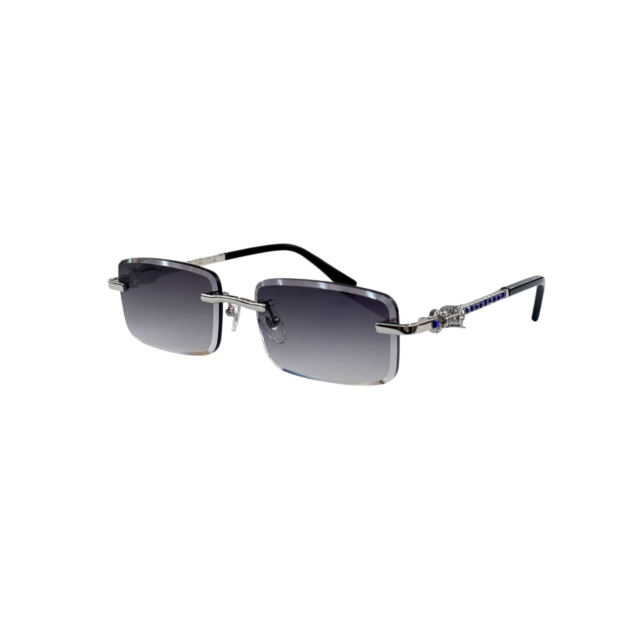 WearVista®️ Glasses