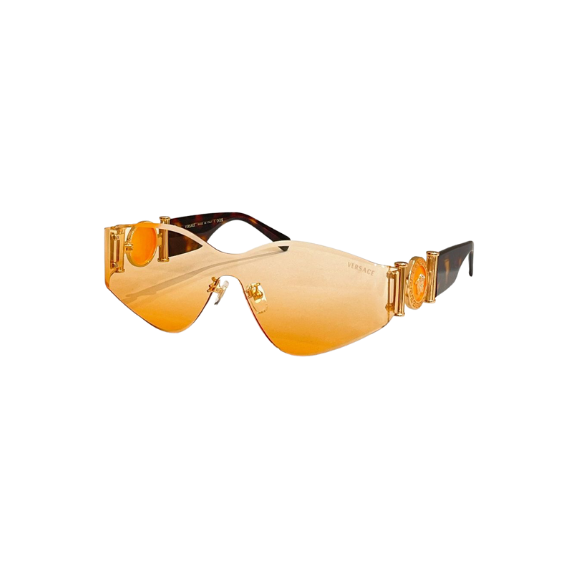 WearVista®️ Glasses