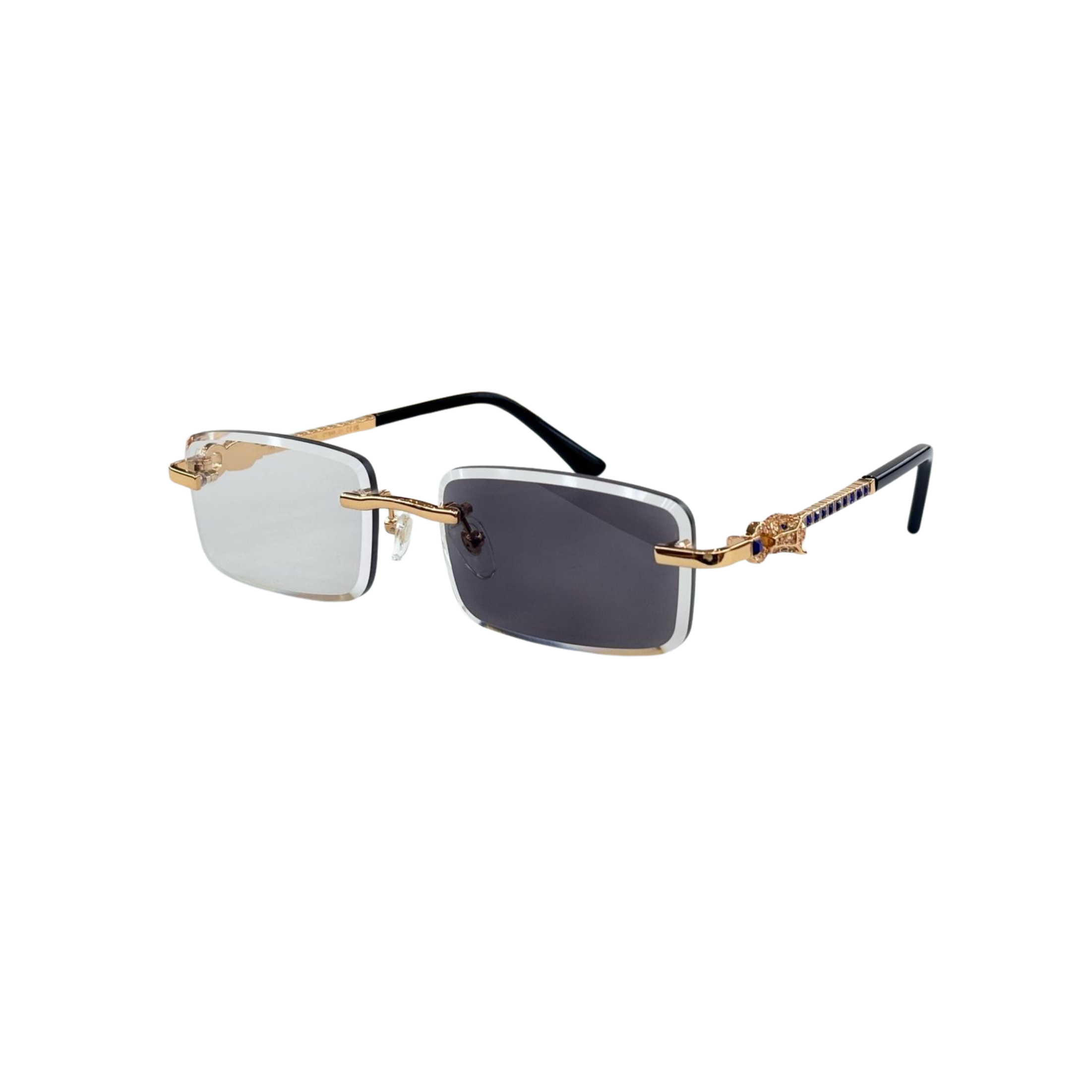 WearVista®️ Glasses