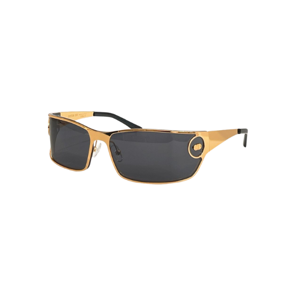 WearVista® Glasses