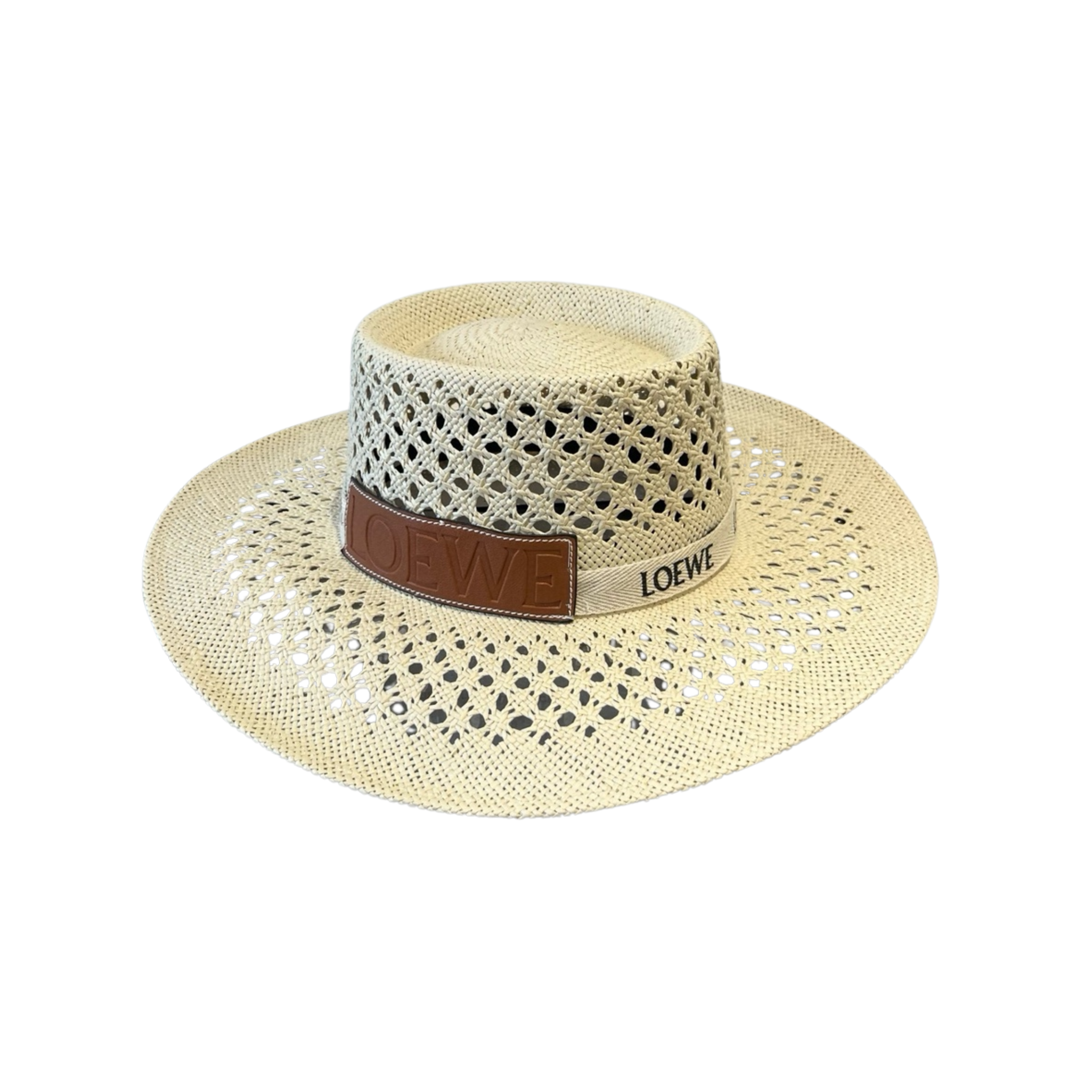 WearVista ®️ Hat