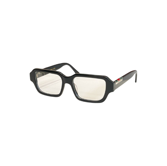 WearVista® Glasses