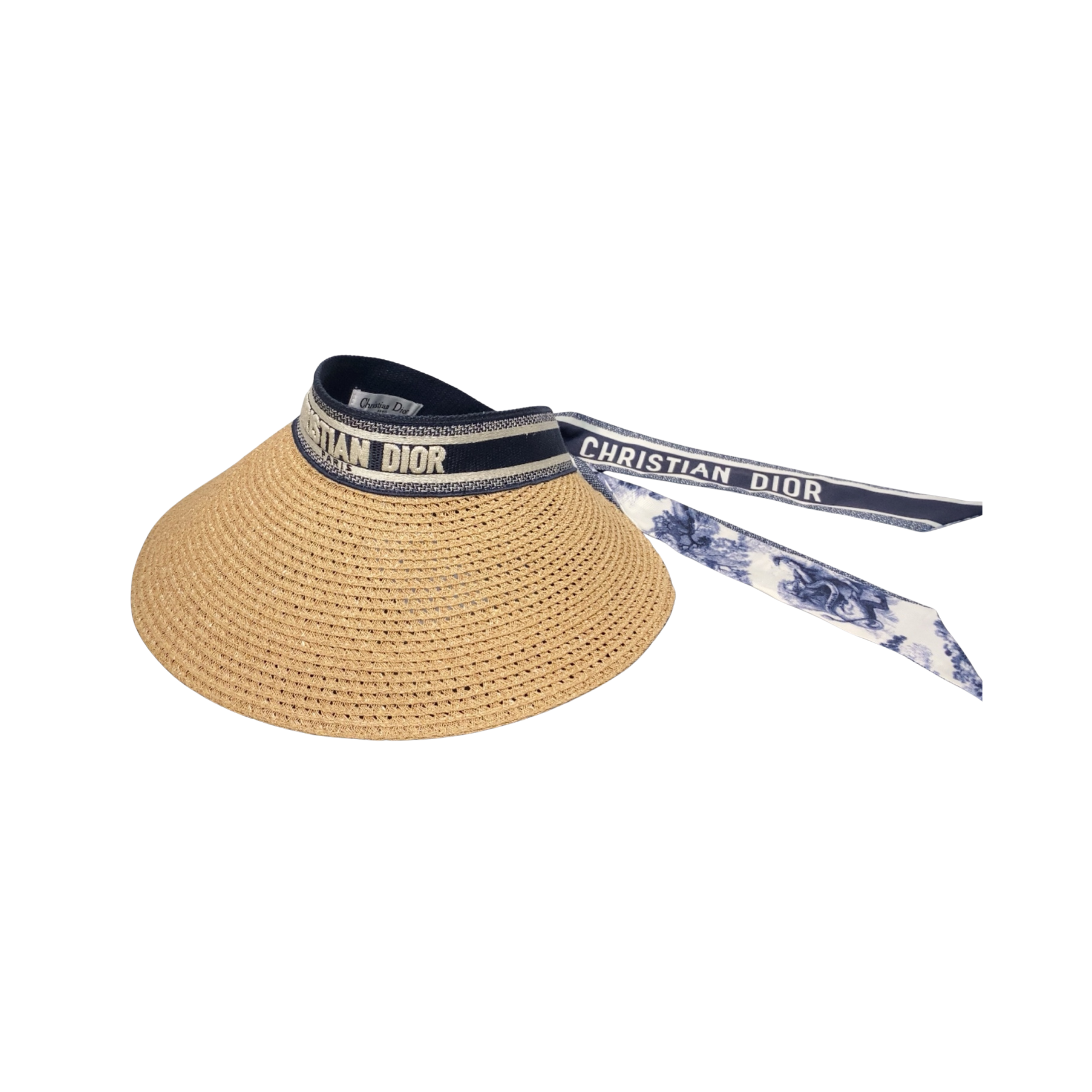 WearVista ®️ Hat