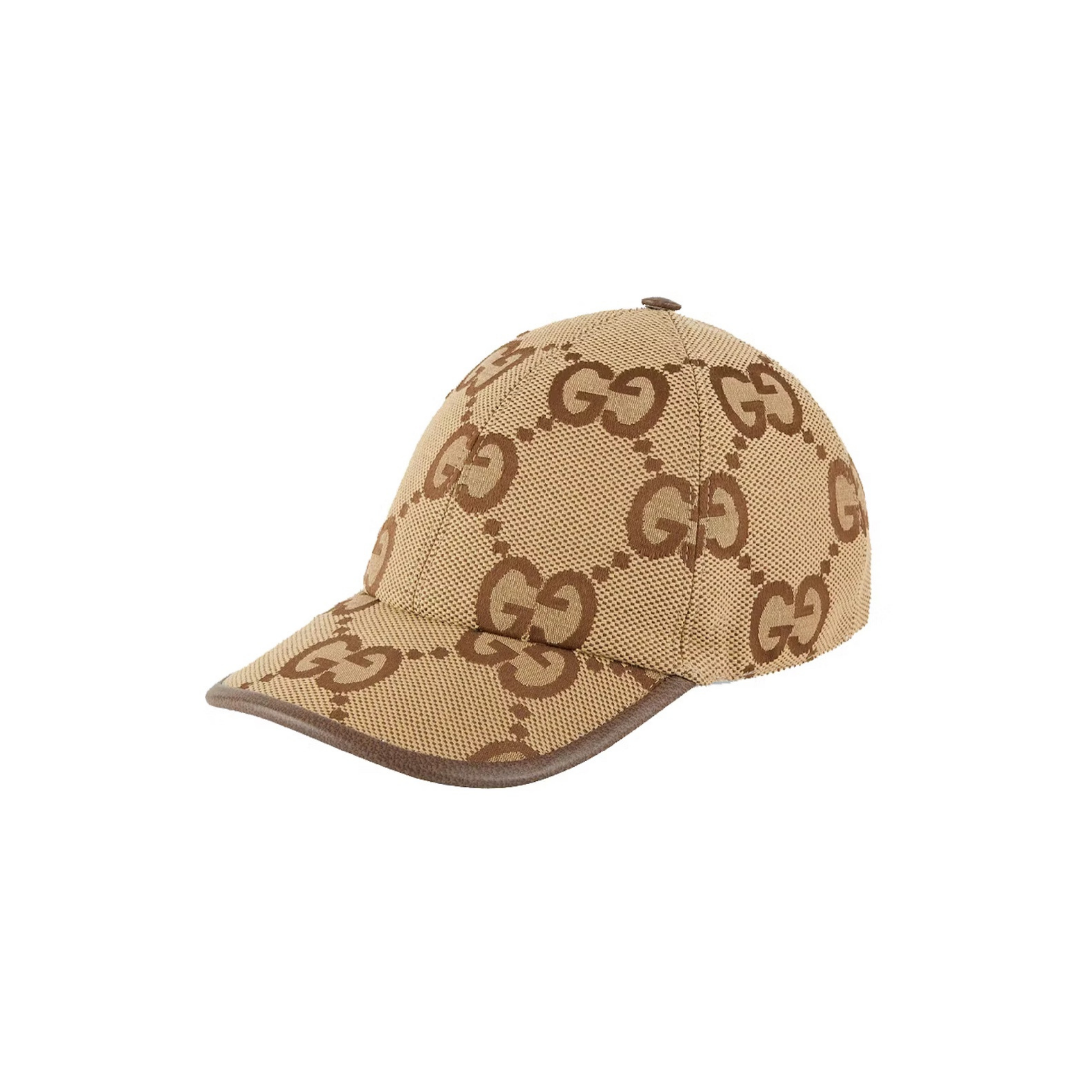 WearVista ®️ Hat