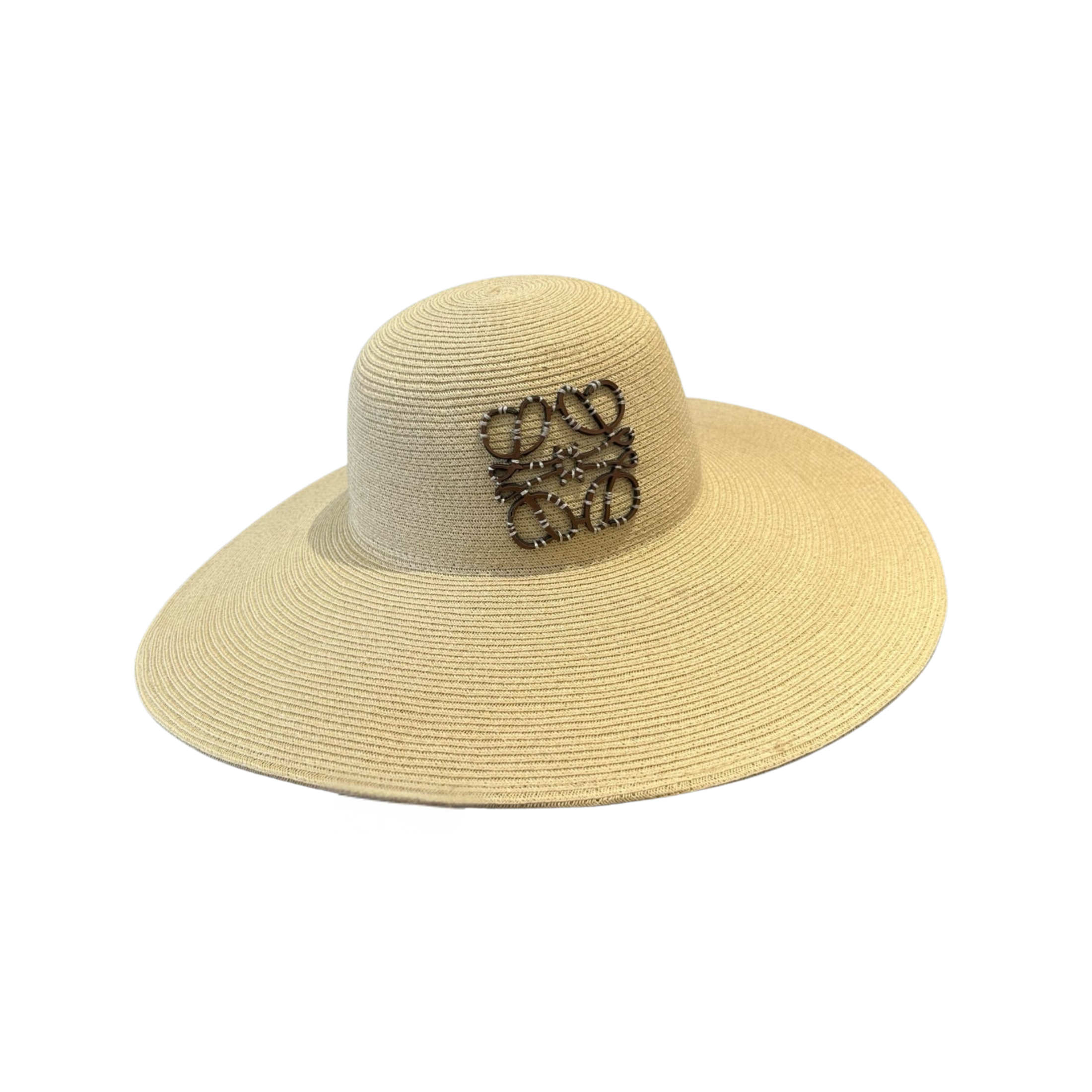 WearVista ®️ Hat