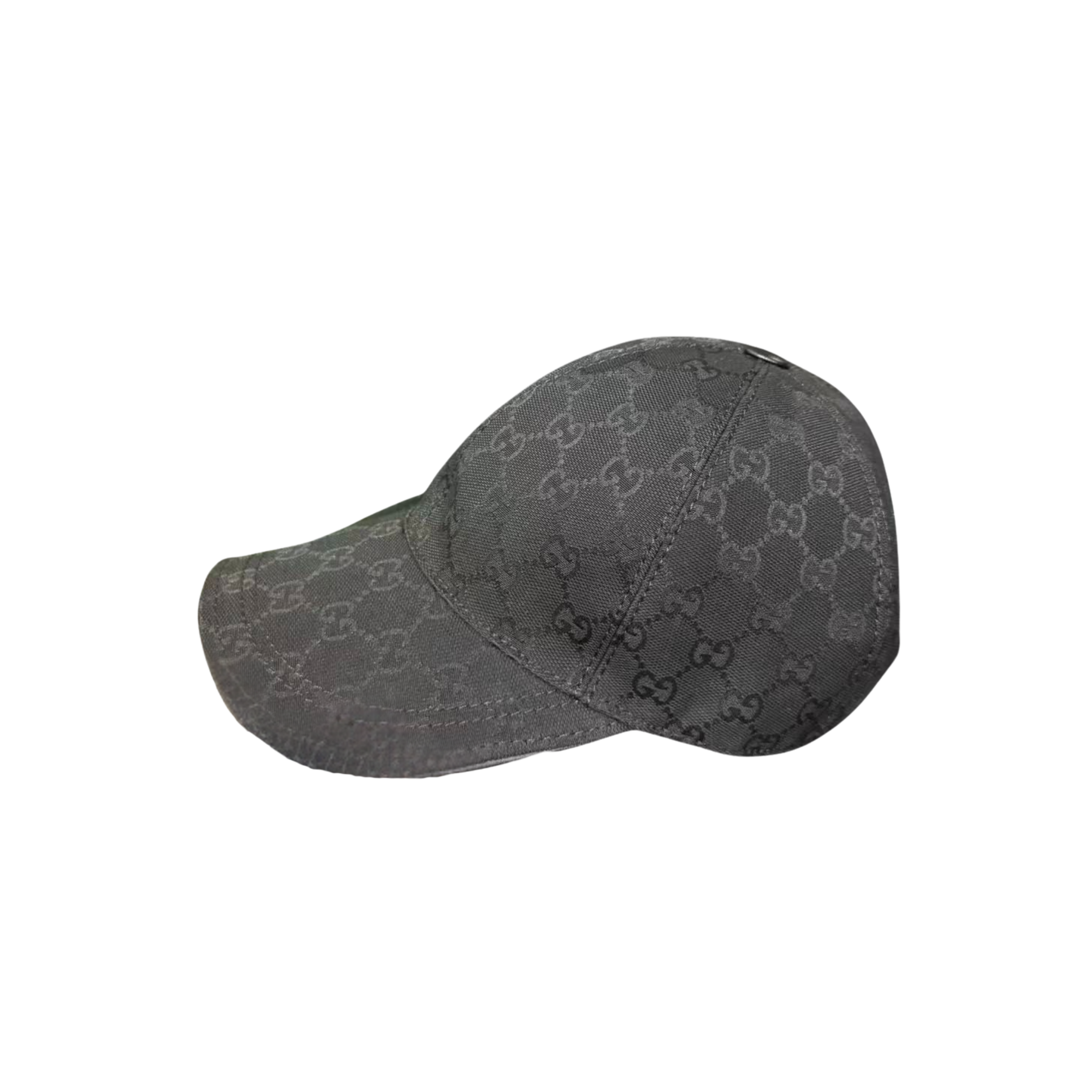 WearVista ®️ Hat